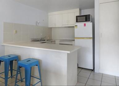 Unit For Lease - QLD - Parramatta Park - 4870 - Spacious 1 Bedroom Unit  (Image 2)