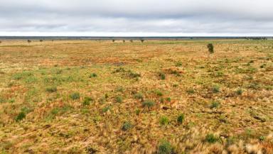 Livestock For Sale - QLD - Clermont - 4721 - Institutional-Scale, Long-Standing Grazing Enterprise  (Image 2)