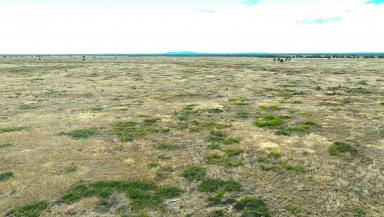 Livestock For Sale - QLD - Clermont - 4721 - Institutional-Scale, Long-Standing Grazing Enterprise  (Image 2)