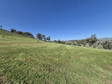 Residential Block For Sale - NSW - Gundagai - 2722 - What a view !!  (Image 2)