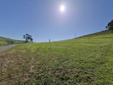 Residential Block For Sale - NSW - Gundagai - 2722 - What a view !!  (Image 2)