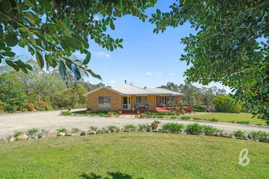 Acreage/Semi-rural For Sale - NSW - Branxton - 2335 - Acreage Living with Space, Style & Lifestyle  (Image 2)
