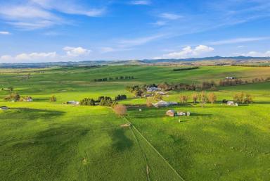 Mixed Farming For Sale - NSW - Yass - 2582 - BLUE RIBBON OPPORTUNITY IN THE CAPITAL REGION (Image 2)