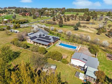 House For Sale - NSW - Young - 2594 - Perfect for All the Family  (Image 2)