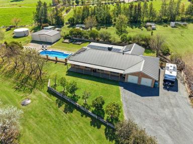 House For Sale - NSW - Young - 2594 - Perfect for All the Family  (Image 2)