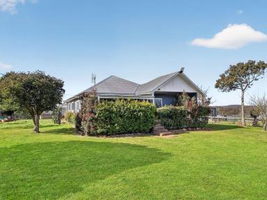 Lifestyle For Sale - NSW - Canyonleigh - 2577 - Modern Country Living on Approximately 68 Acres  (Image 2)