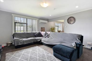House For Sale - TAS - Strahan - 7468 - Investment Return Meets Family-Friendly Living  (Image 2)