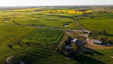 Mixed Farming For Sale - SA - Senior - 5268 - A well-developed, turnkey mixed farming operation in the renowned Bordertown area  (Image 2)