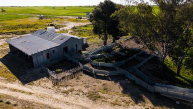 Mixed Farming For Sale - SA - Senior - 5268 - A well-developed, turnkey mixed farming operation in the renowned Bordertown area  (Image 2)