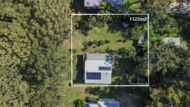House For Sale - QLD - Macleay Island - 4184 - First Time Offered – Space, Gardens & Plenty of Potential  (Image 2)