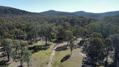 Lifestyle For Sale - NSW - Sandy Hollow - 2333 - Ahh The Serenity
! - 40 Ac Bush Getaway  (Image 2)