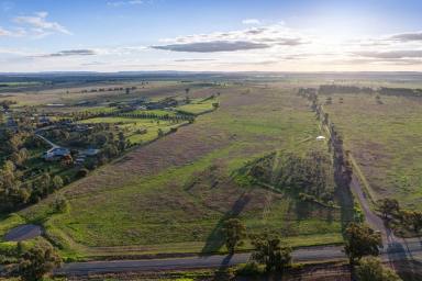 Mixed Farming For Sale - NSW - Forbes - 2871 - LIFESTYLE FARMING WITH STRATEGIC OPTIONALITY  (Image 2)