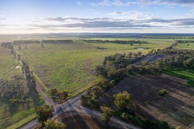 Mixed Farming For Sale - NSW - Forbes - 2871 - LIFESTYLE FARMING WITH STRATEGIC OPTIONALITY  (Image 2)