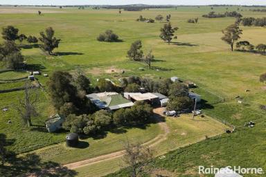 House For Sale - NSW - Currawarna - 2650 - A slice of country to call your own  (Image 2)