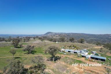 Lifestyle For Sale - NSW - Upper Horton - 2347 - FAGANS VALE  (Image 2)