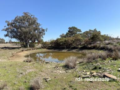 Lifestyle For Sale - NSW - Upper Horton - 2347 - FAGANS VALE  (Image 2)
