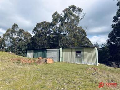 Other (Rural) For Sale - TAS - North Motton - 7315 - PRIVATE RETREAT 
11.94 HECTARES (29.4 ACRES)  (Image 2)