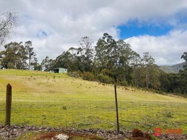 Other (Rural) For Sale - TAS - North Motton - 7315 - PRIVATE RETREAT 
11.94 HECTARES (29.4 ACRES)  (Image 2)