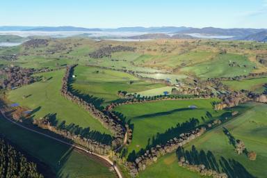 Mixed Farming For Sale - NSW - Tooma - 2642 - HIGH PRODUCTION | UPPER MURRAY  (Image 2)