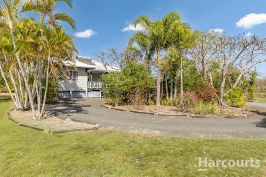 House For Sale - QLD - Redridge - 4660 - COUNTRY LIVING ON 5 PRIVATE ACRES - BIG SHED, TOWN WATER & ROOM TO BREATHE!  (Image 2)