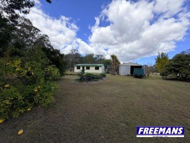 House For Sale - QLD - Wattle Camp - 4615 - Be self-sufficient on your own orchard  (Image 2)