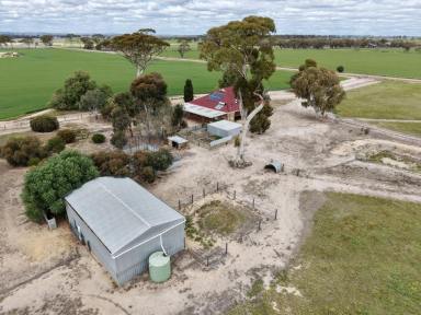 Farmlet For Sale - WA - Dangin - 6383 - Dangin Homestead on 4.82ha – Country Living with Equestrian Appeal  (Image 2)