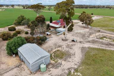 Farmlet Sold - WA - Dangin - 6383 - Dangin Homestead on 4.82ha – Country Living with Equestrian Appeal (Image 2)