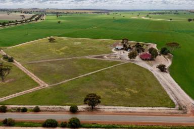Farmlet Sold - WA - Dangin - 6383 - Dangin Homestead on 4.82ha – Country Living with Equestrian Appeal (Image 2)