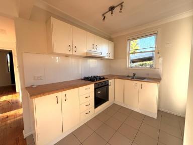 House For Sale - NSW - South Grafton - 2460 - SMART INVESTMENT - ZERO FUSS  (Image 2)