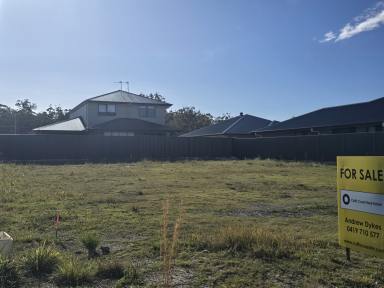 Residential Block For Sale - NSW - Moonee Beach - 2450 - Level Block Ready To Build Your New Home  (Image 2)