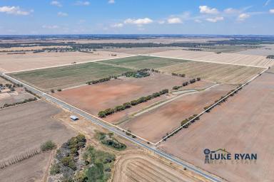 Cropping For Sale - VIC - Bamawm - 3561 - LUXURY RURAL LIFESTYLE & HIGHLY PRODUCTIVE HAY FARM - A RARE OFFERING! (Image 2)