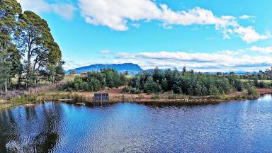Lifestyle For Sale - TAS - Sheffield - 7306 - Picturesque Productive Lifestyle Acreage on Sheffield Fringe  (Image 2)