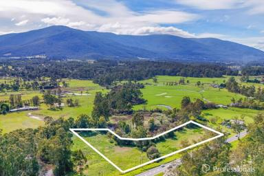Residential Block For Sale - VIC - Launching Place - 3139 - RIVERFRONT ACREAGE IN AN OUTSTANDING LOCATION  (Image 2)