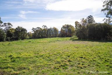 Residential Block For Sale - VIC - Launching Place - 3139 - RIVERFRONT ACREAGE IN AN OUTSTANDING LOCATION  (Image 2)