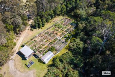 Acreage/Semi-rural For Sale - NSW - Bournda - 2548 - MANNA PARK – 63.19HA OF OPPORTUNITY ON THE SAPPHIRE COAST (Image 2)