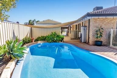 House For Sale - WA - Halls Head - 6210 - Halls Head Family Home With Pool, Workshop & Side Access (Image 2)