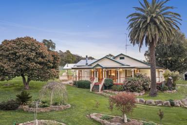 Lifestyle For Sale - VIC - Kelvin View - 3666 - A Creek, Country Character and Serious Shedding – Just 12km from Euroa  (Image 2)