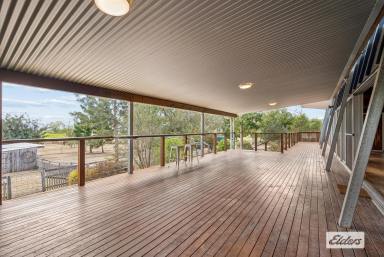 House For Sale - QLD - Laidley Creek West - 4341 - Step Into Spring: Contemporary Living on just under 2.5 Acres  (Image 2)