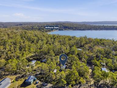 House For Sale - TAS - Morass Bay - 7030 - Morass Bay Magic (Image 2)