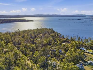 House For Sale - TAS - Morass Bay - 7030 - Morass Bay Magic (Image 2)
