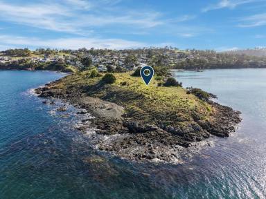 Residential Block Auction - TAS - Primrose Sands - 7173 - Where The Land Meets The Water  (Image 2)