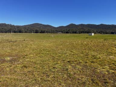 Residential Block For Sale - TAS - Sisters Beach - 7321 - Seaside Calm, Nature All Around — Gentle coastal living on spacious level blocks  (Image 2)