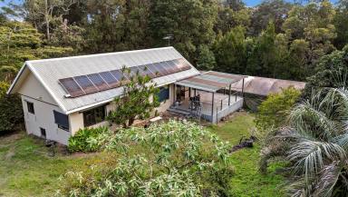 House For Sale - QLD - Wondecla - 4887 - Hidden in the Highlands  (Image 2)