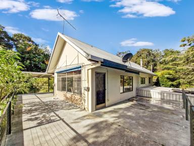 House For Sale - QLD - Wondecla - 4887 - Hidden in the Highlands  (Image 2)