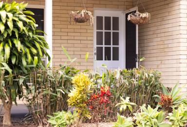 House For Sale - QLD - Cooroy - 4563 - Easy Single Level Living with Modern Style  (Image 2)