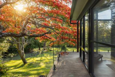 House For Lease - QLD - Doonan - 4562 - The Ultimate Noosa Hinterland Lifestyle - with Lawn and Garden Care Included (Image 2)