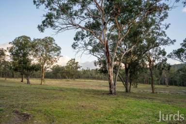 Lifestyle For Sale - NSW - Abernethy - 2325 - 22 Acres. 2 Homes. Horses, Income AND Subdivision Potential - Hunter Valley (Image 2)