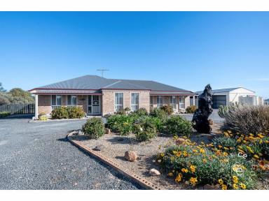 Acreage/Semi-rural For Sale - SA - Mannum - 5238 - Affordable lifestyle property on the town fringe  (Image 2)