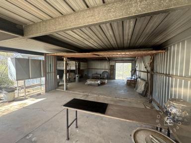 Lifestyle For Sale - SA - Fisher - 5354 - Established campsite among pristine Australian bushland (Image 2)