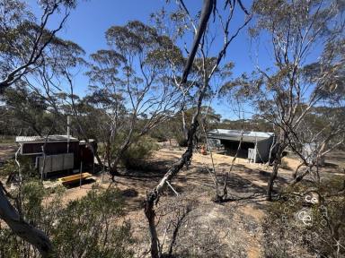 Lifestyle For Sale - SA - Fisher - 5354 - Established campsite among pristine Australian bushland (Image 2)
